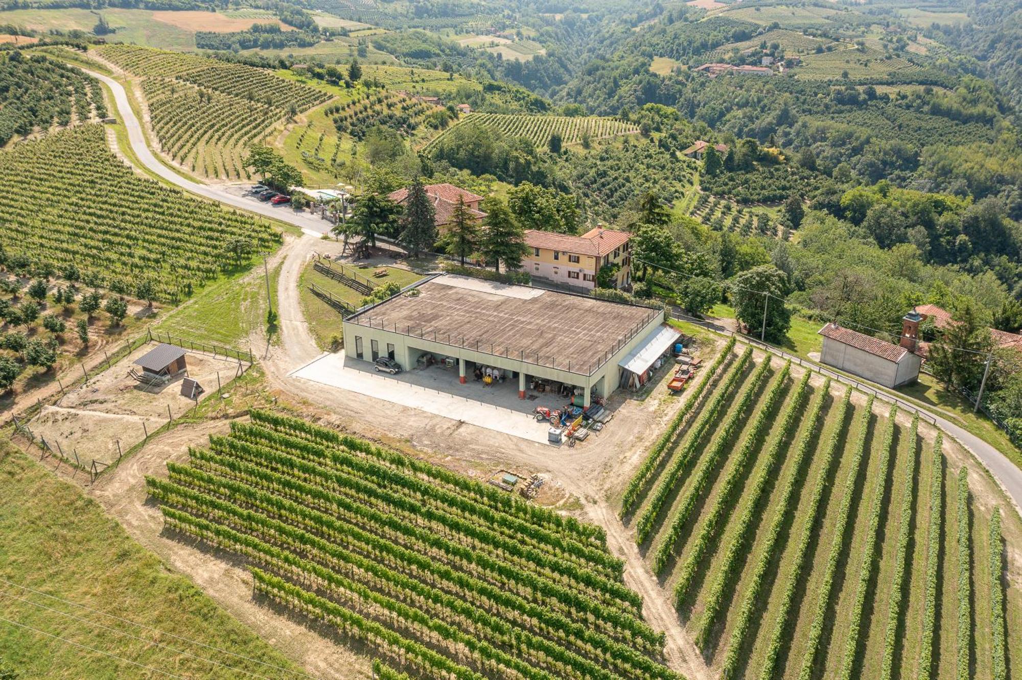 Agriturismo Cantine Bevione - Family Apartments Farigliano Экстерьер фото
